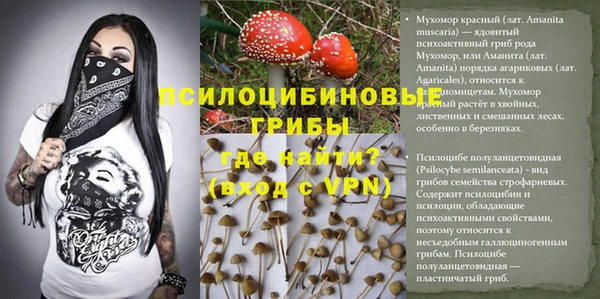 твердый Куйбышев