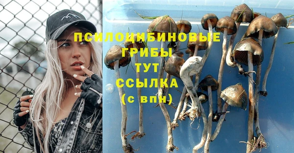 мет Лагань