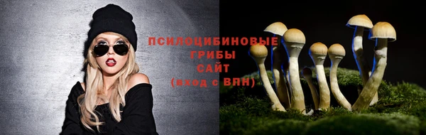 МДПВ Ладушкин