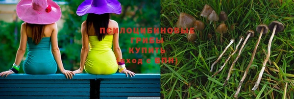 соль ск Лабытнанги