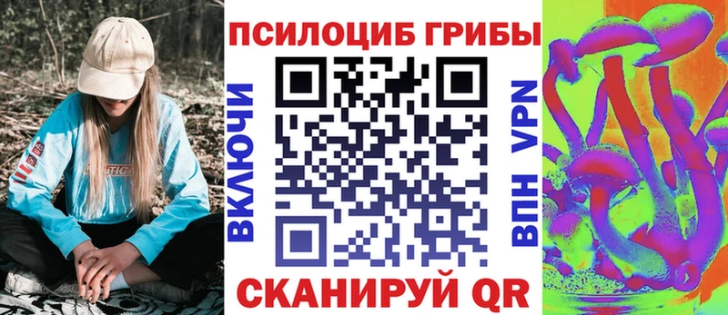Галлюциногенные грибы Psilocybe  Ясный 